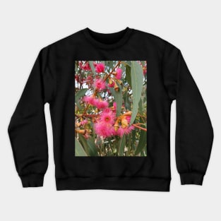 Flowering Gum Tree Crewneck Sweatshirt